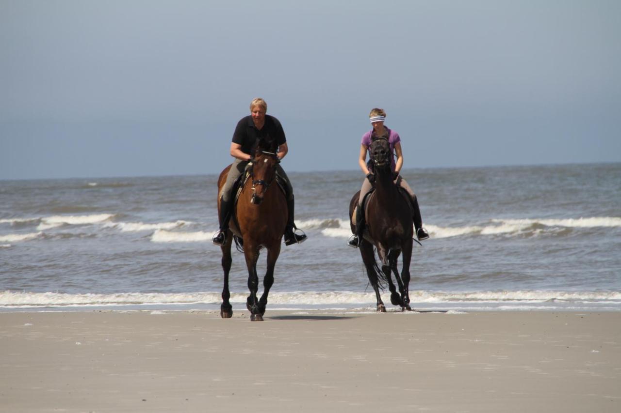 Marina 26 - Gigantischer Meerblick * Wangerooge